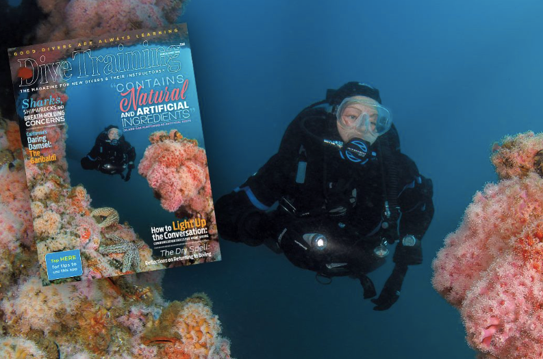 Allison Vitsky Sallmon - DiveIntoThePink.org