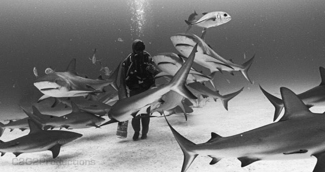 Cristina Zenato - People Of the Water (POW)