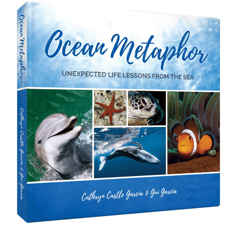 Ocean Metaphor: Unexpected Life Lessons from the Sea, AUTOGRAPHED COPY