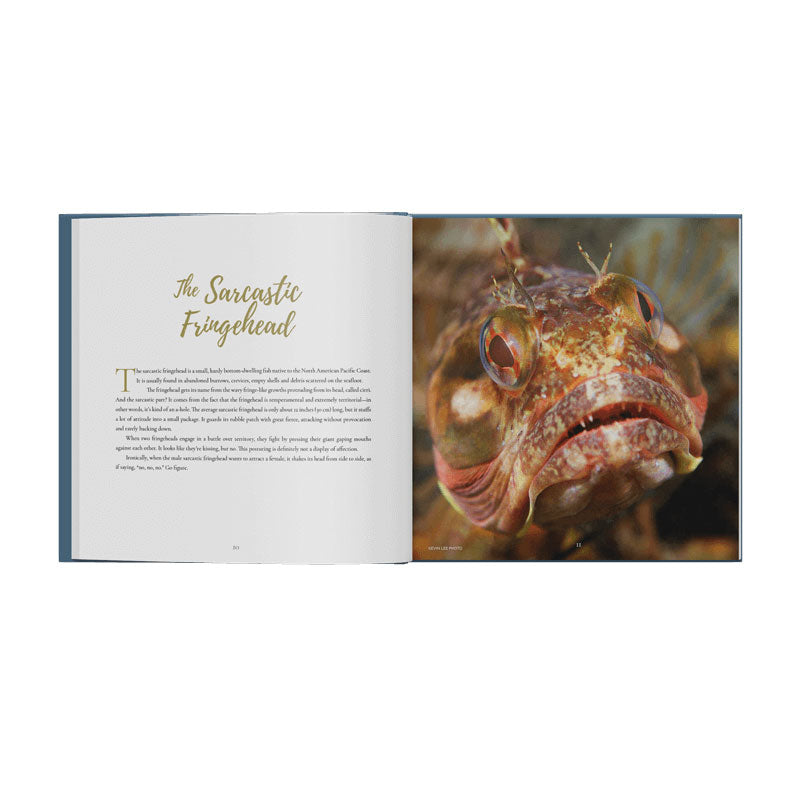 Ocean Metaphor: Unexpected Life Lessons from the Sea, AUTOGRAPHED COPY