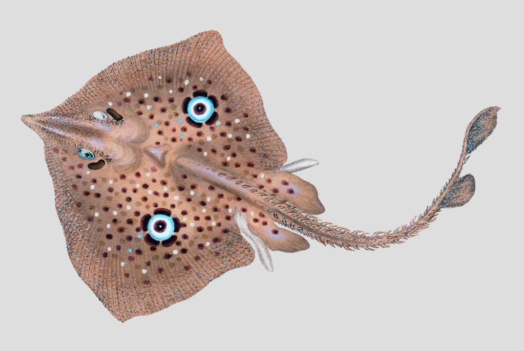 Ray of Optimism - Ceramic Mug 11oz &amp; 15 oz