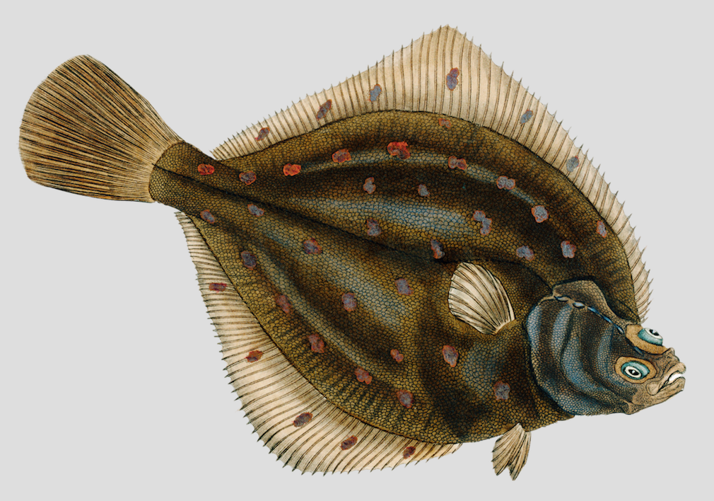 Ray of Optimism - Ceramic Mug 11oz &amp; 15 oz