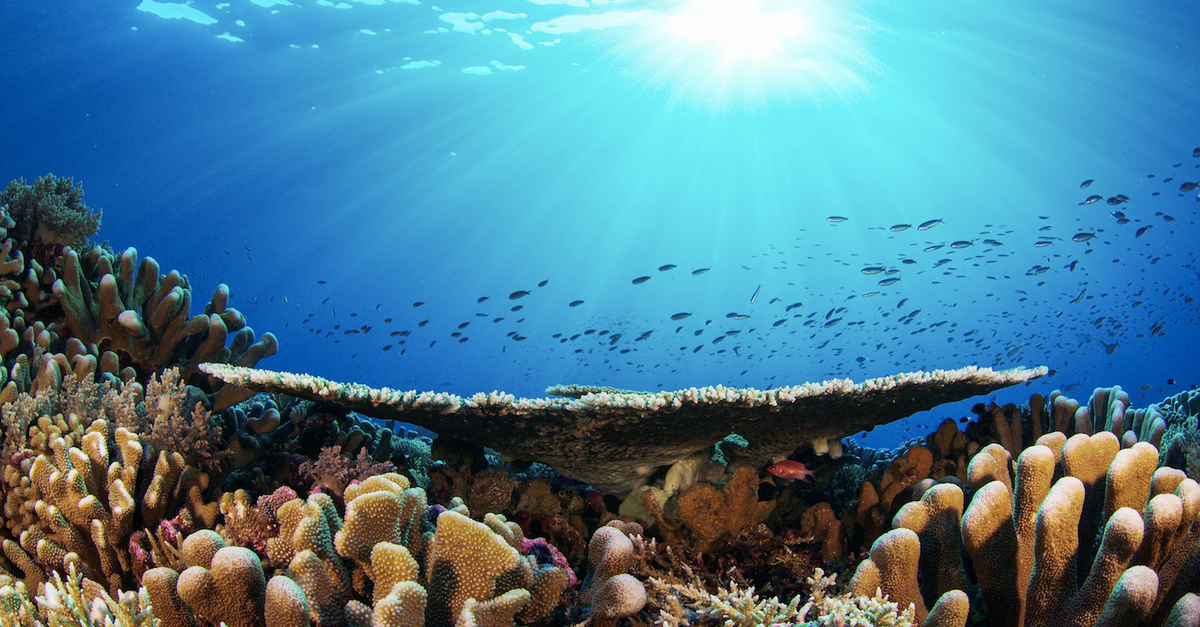 Deeply Designs Gift Card